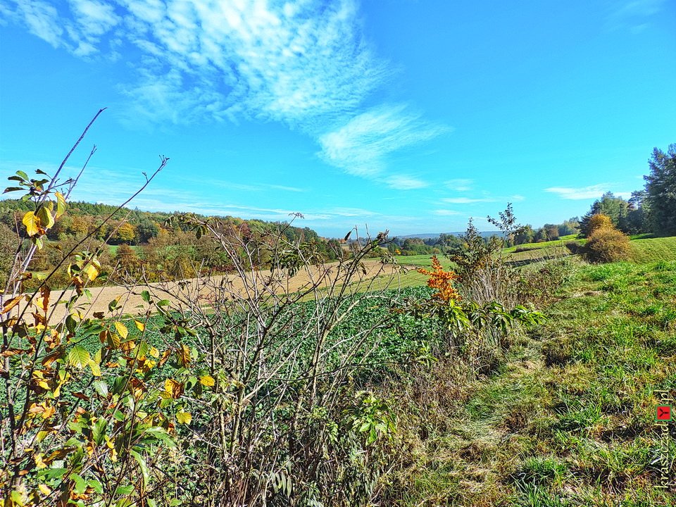 Kraszczady jesienią