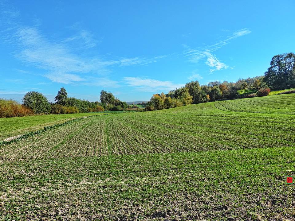 Kraszczadzkie pola