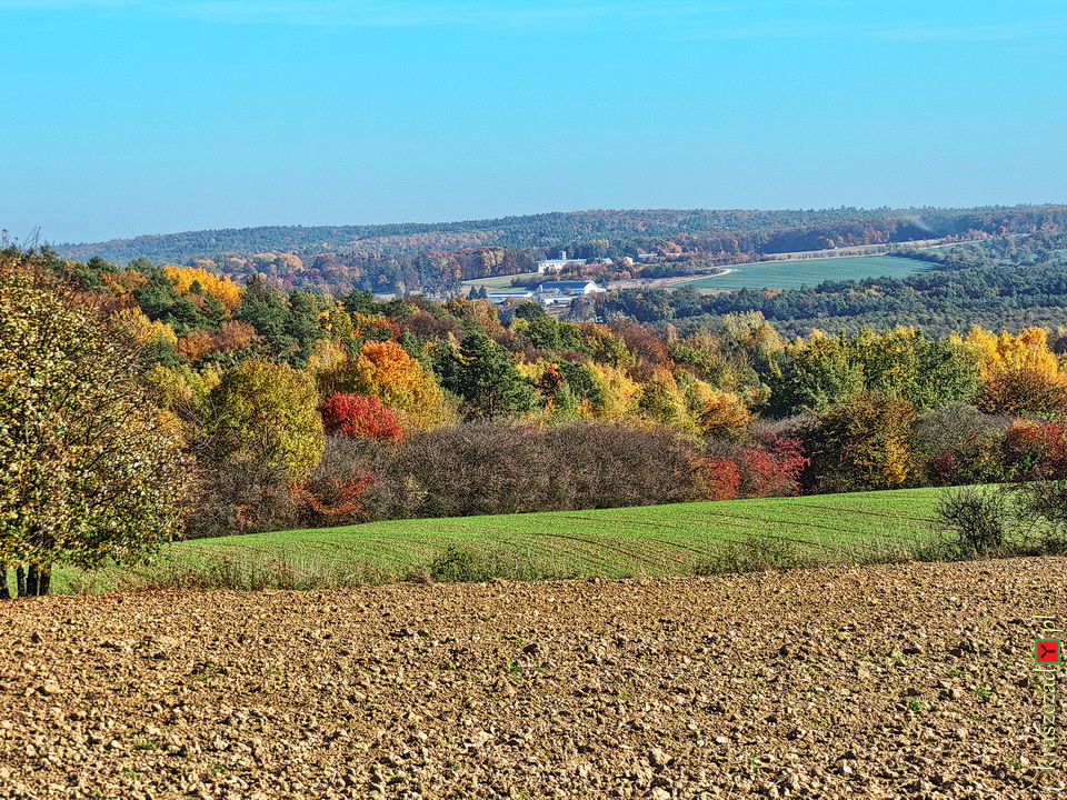 Stadnina w Białce