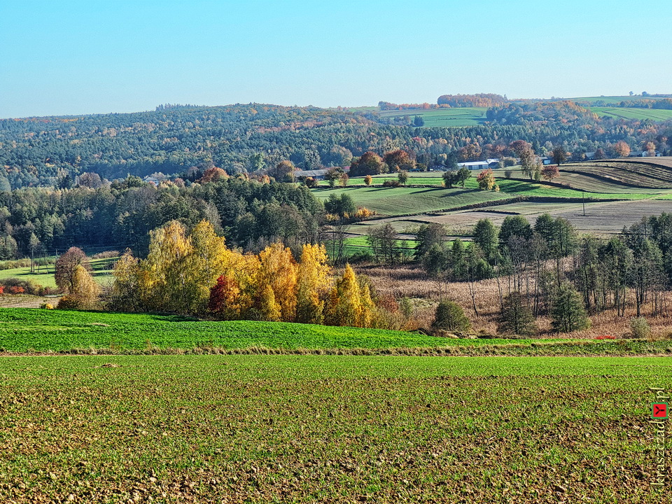 Jesień w Kraszczadach