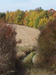 Kraszczady, miniatura