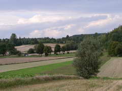 Kraszczady, miniatura