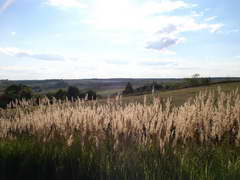 Kraszczady, miniatura