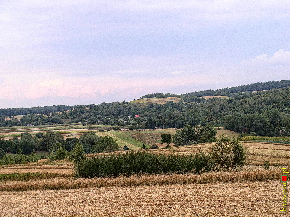 Pagórek Olesin, widok od strony południowej