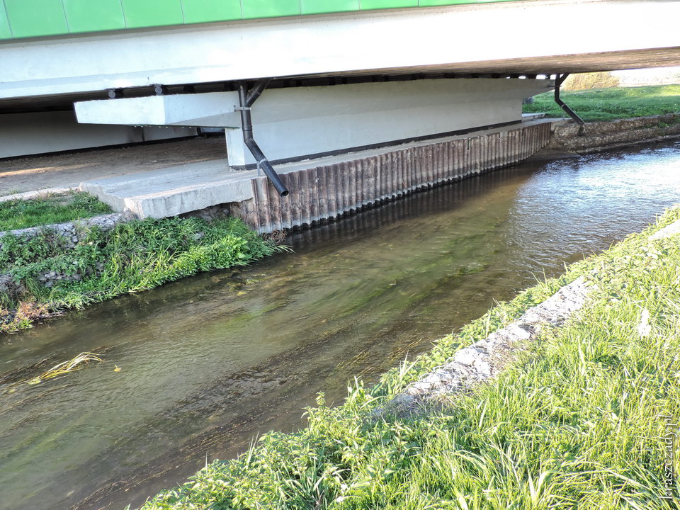 Rzeka Żółkiewka pod mostem drogowym drogi krajowej nr 17 na obrzeżach Krasnegostawu