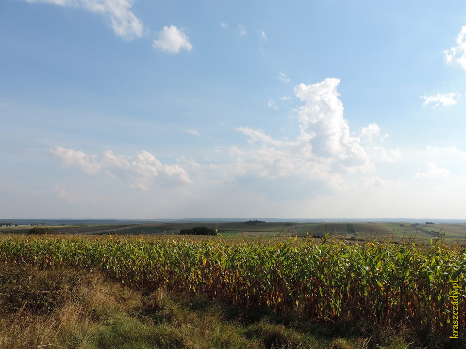 Panorama z okolic Wieży Ariańskiej w Krynicy k. Krasnegostawu