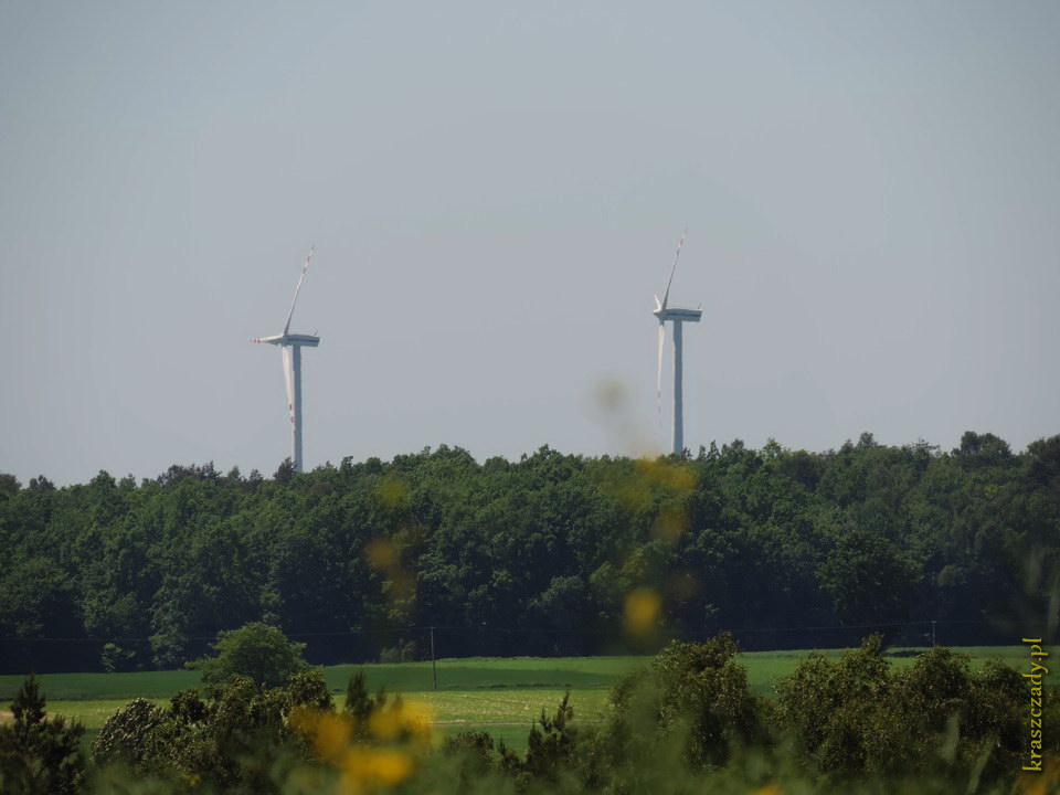 Elektrownie wiatrowe w Żółkiewce, widoczne z Kraszczadów