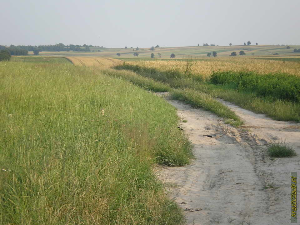 Kraszczady, pejzaż