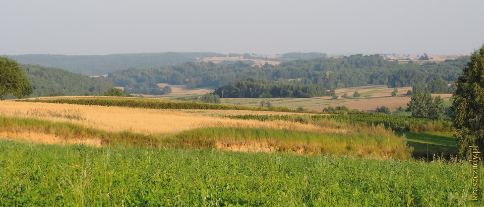 Koniec lipca w Kraszczadach