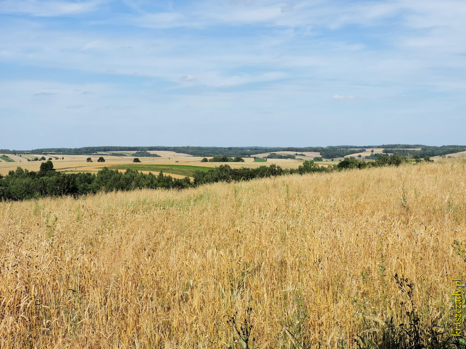 Lato w Kraszczadach