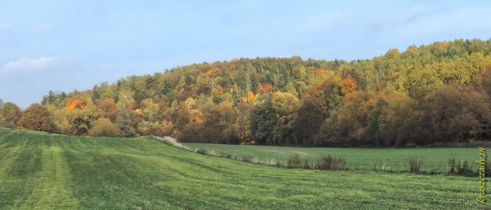 Kraszczady jesienią