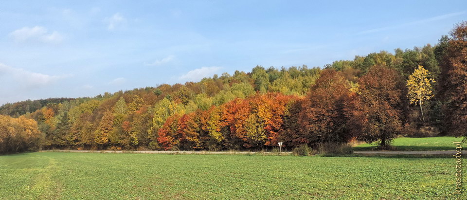 Złota jesień w Kraszczadach