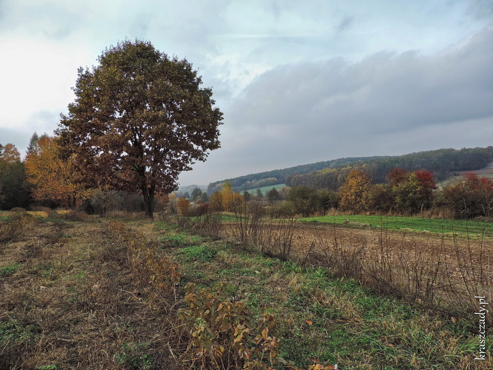 Jesienne Kraszczady