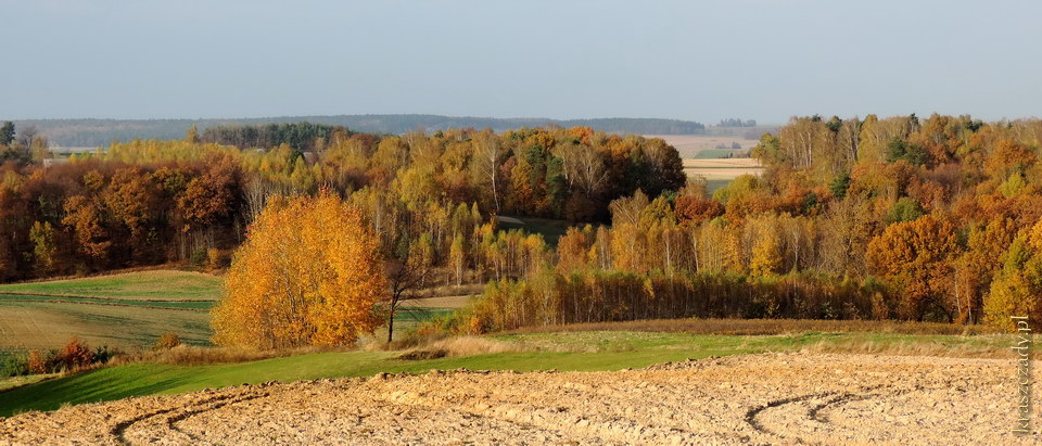 Kraszczady jesienią