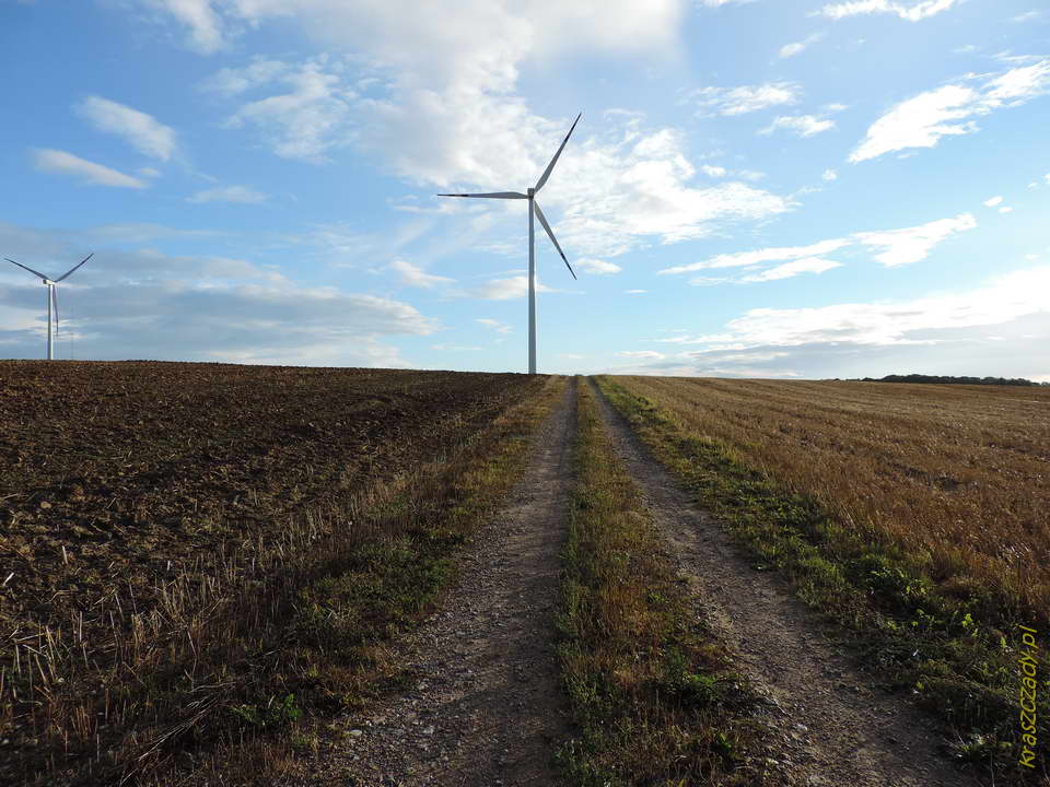 Elektrownie wiatrowe w gminie Korsze, powiat kętrzyński, województwo warmińsko-mazurskie