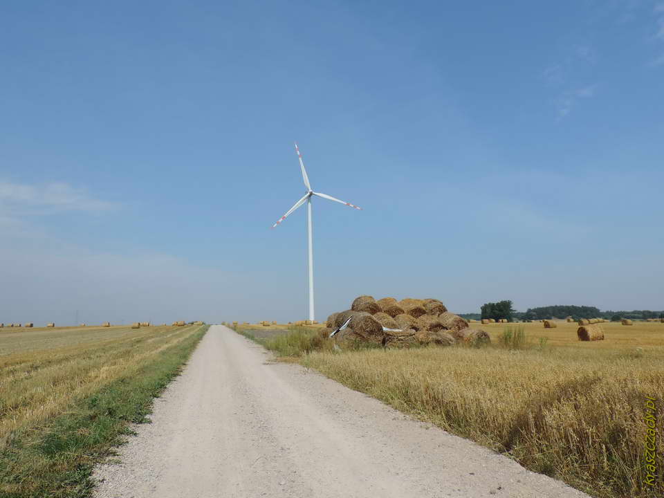 Elektrownie wiatrowe na obrzeżach Ciechanowa, powiat ciechanowski, województwo mazowieckie.