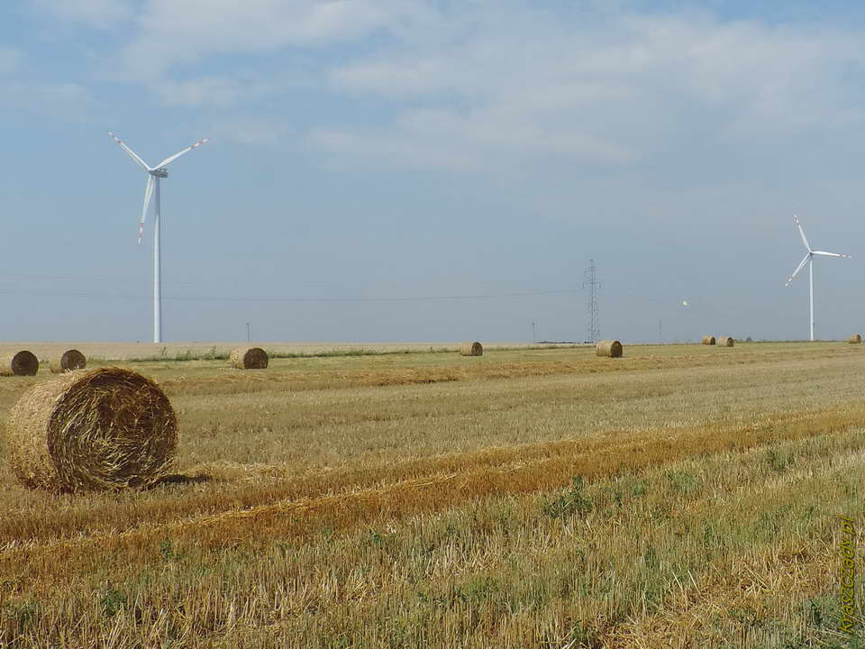 Elektrownie wiatrowe na obrzeżach Ciechanowa, powiat ciechanowski, województwo mazowieckie.