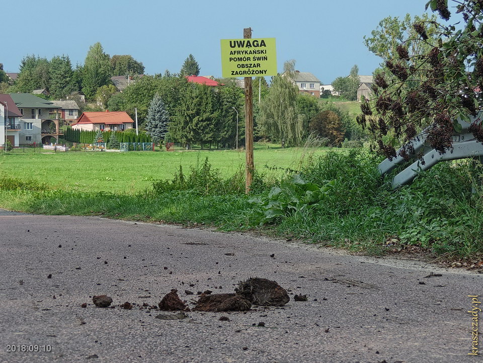 Tablica ostrzegawcza przed obszarem zagrożonym afrykańskim pomorem świń