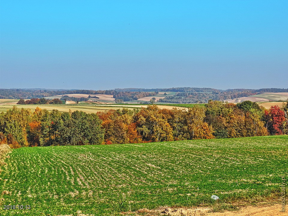 Kraszczadzka droga jesienią