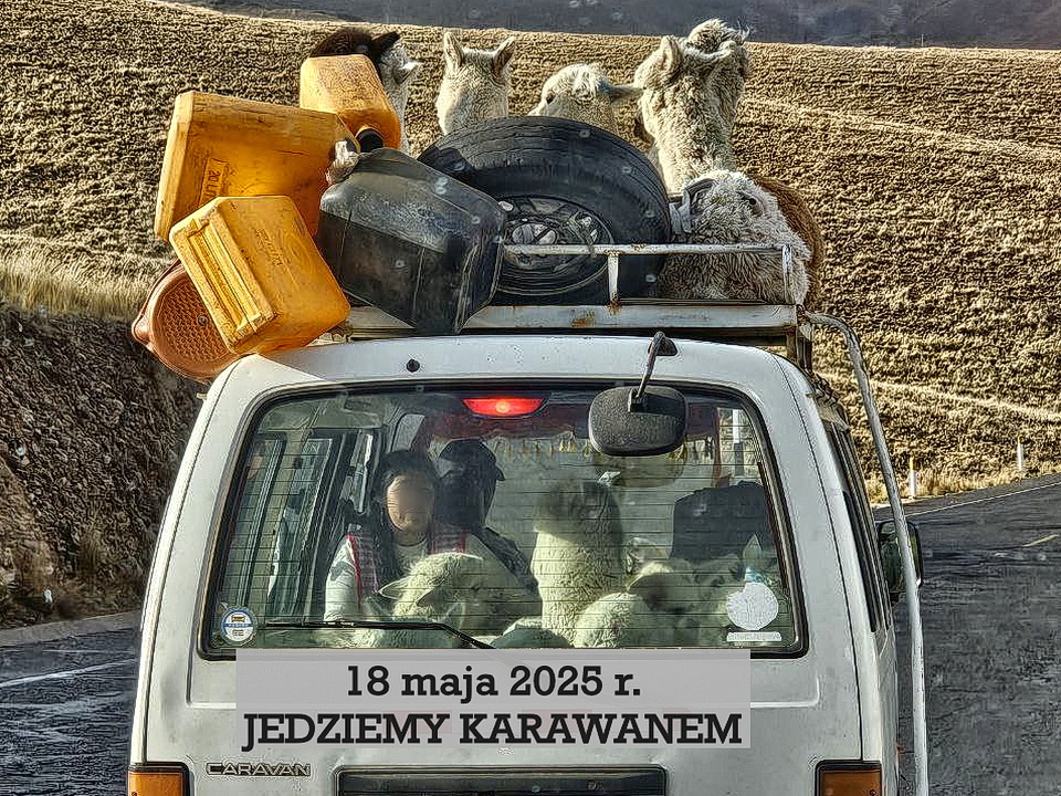 Podwózka do strzyżenia