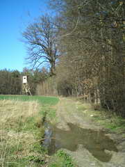 Kraszczady, miniatura