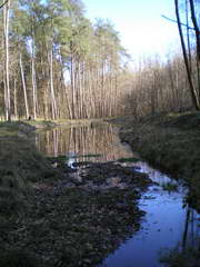 Kraszczady, miniatura