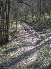 Kraszczady, miniatura