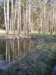 Kraszczady, miniatura