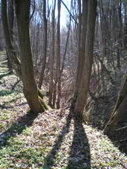 Kraszczady, miniatura