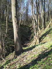 Kraszczady, miniatura