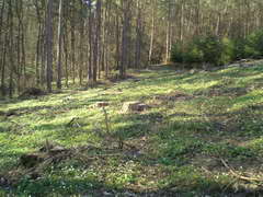 Kraszczady, miniatura