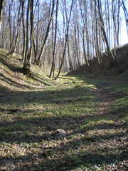 Kraszczady, miniatura