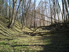 Kraszczady, miniatura