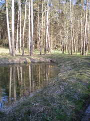 Kraszczady, miniatura