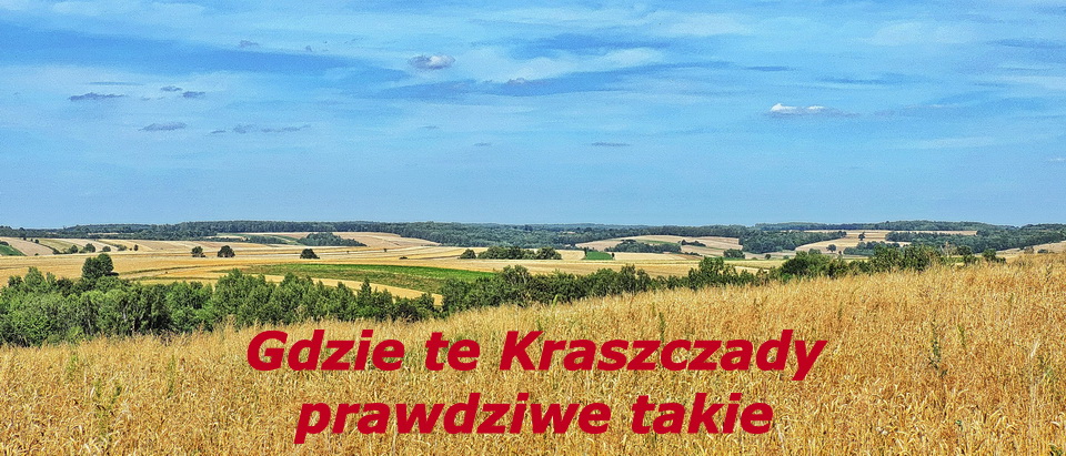 title image link: Gdzie te Kraszczady prawdziwe takie