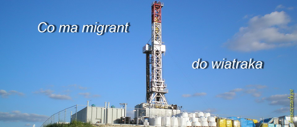 Co ma migrant do wiatraka